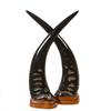 Image 2 : Water Buffalo Horn Pair (CLB-136)