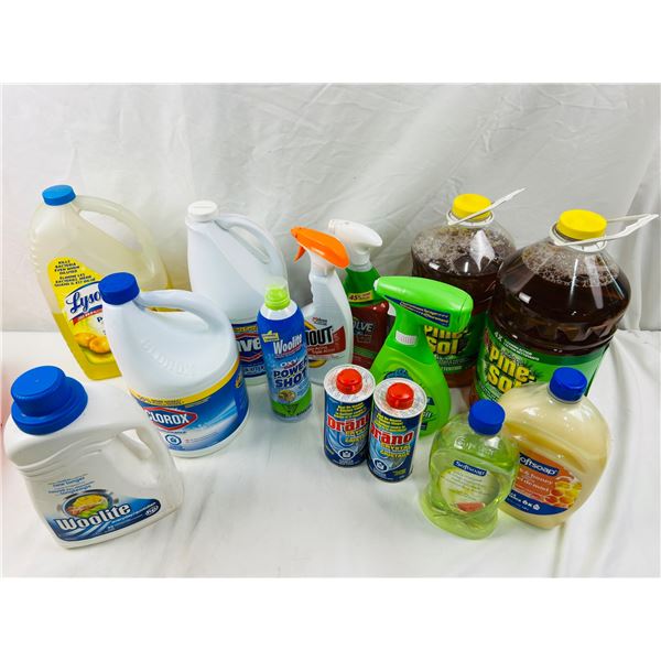 Household and Laundry Chemicals