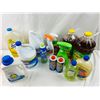Image 1 : Household and Laundry Chemicals