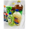 Image 3 : Household and Laundry Chemicals