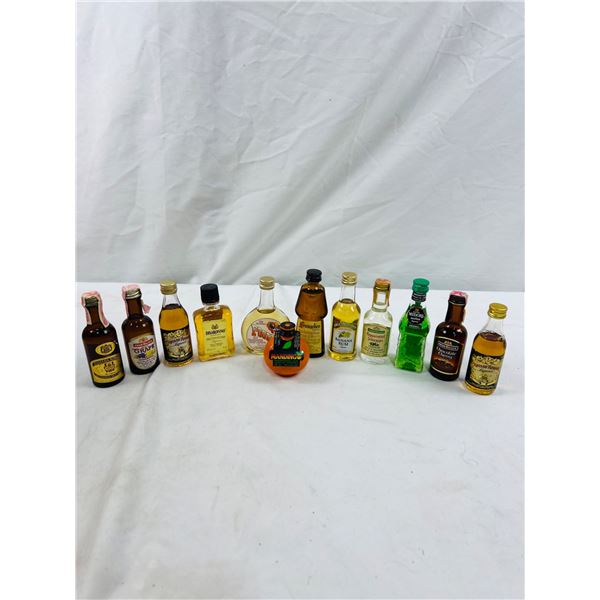 Assortment of 50ml Bottled Liquors