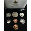 Image 3 : Uncirculated Canadian Mint Coin sets