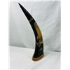 Image 4 : Artistically Carved Horns