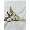 Image 6 : Carved Antlers and Horns