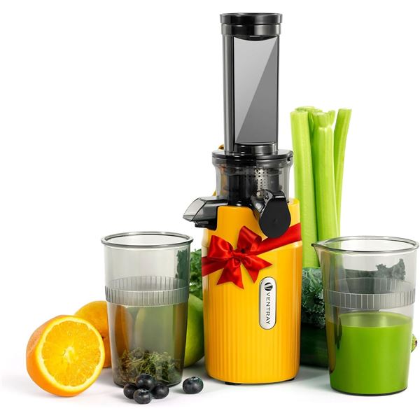 BNIB Ventray Ginnie Mini Cold Press Juicer Retail $80