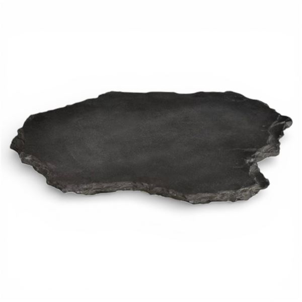 Moe's Home Collection Sheridan Coffee Table Top Only (QJ-1004-24)