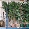 Image 2 : 2 Pcs Artificial Potted Plants - Mostly Ficus Leaf, Approx. 6-7 ft. Each (Random Plants)