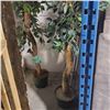 Image 2 : 2 Pcs Tall Artificial Potted Plants, Approx. H120" Each