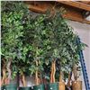 Image 3 : 2 Pcs Artificial Potted Plants - Mostly Ficus Leaf, Approx. 6-7 ft. Each (Random Plants)