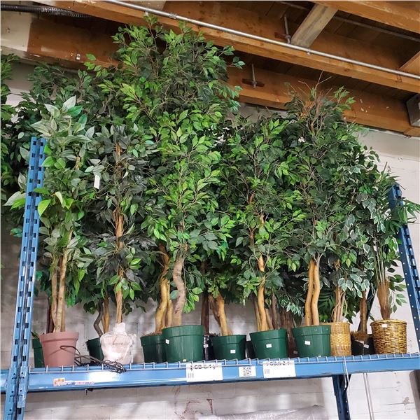 2 Pcs Artificial Potted Plants - Mostly Ficus Leaf, Approx. 6-7 ft. Each (Random Plants)