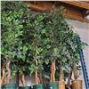 Image 3 : 3 Pcs Artificial Potted Plants - Mostly Ficus Leaf, Approx. 6-7 ft. Each (Random Plants)