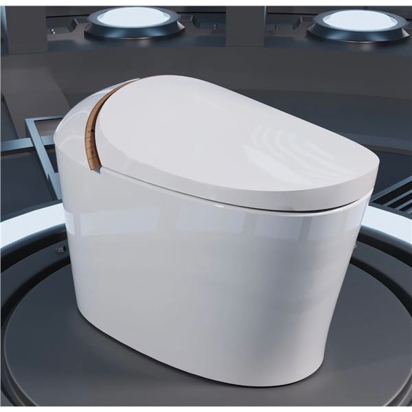 New in Box DeerValley Smart Bidet Toilet - RV: $890 CAD (DV-1S0160-V3)