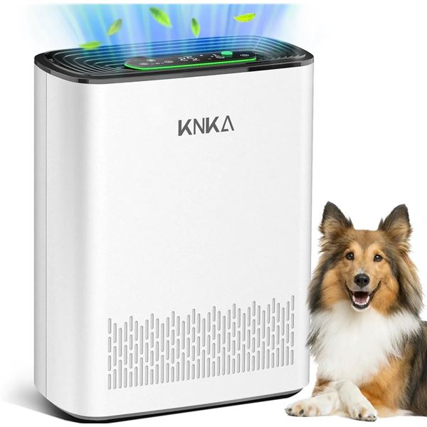 KNKA Air Purifier