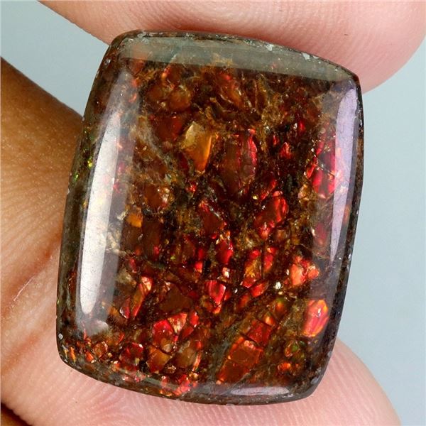 VALUABLE ANTIQUE CUT 26.72 CARATS CABOCHON NATURAL REDDISH AND RAINBOW LUSTER AMMOLITE - ALBERTA CAN