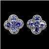 Image 1 : TANZANITE EARRINGS IN 14K WHITE PLATED GOLD OVER 925 STERLING SILVER - APPRAISED REPLACEMENT VALUE C