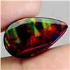 Image 3 : AMAZING 6.34 CARATS PEAR CABOCHON AAA FLORAL PLAY OF COLOR BLACK OPAL 20X12 mm BIG RARE GEMSTON - AP