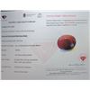 Image 3 : 7.88 ct Certified Untreated Ruby gemstone ($15,760 Appraisal)