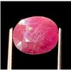 Image 1 : One loose collector's stone with the following: Natural Ruby Shape, faceting style: Oval Cut Number 