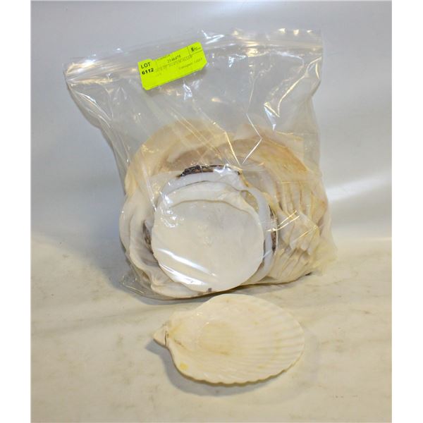 20 LARGE (3" TO 6") SCALLOP SHELLS