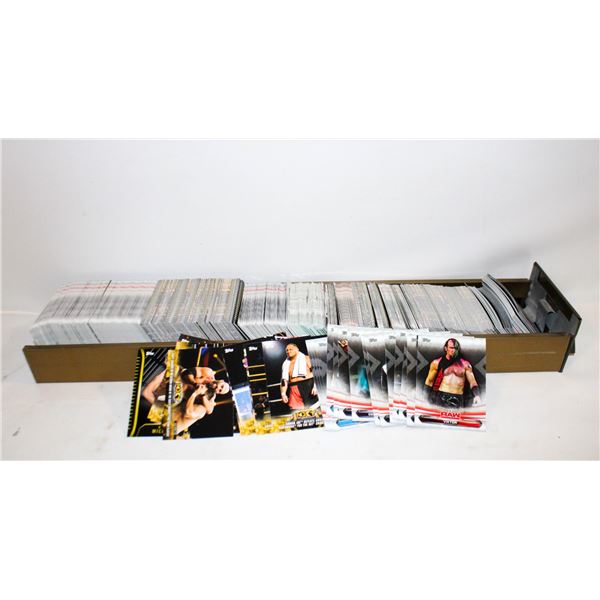 WWE & UFC MEN'S CARDS