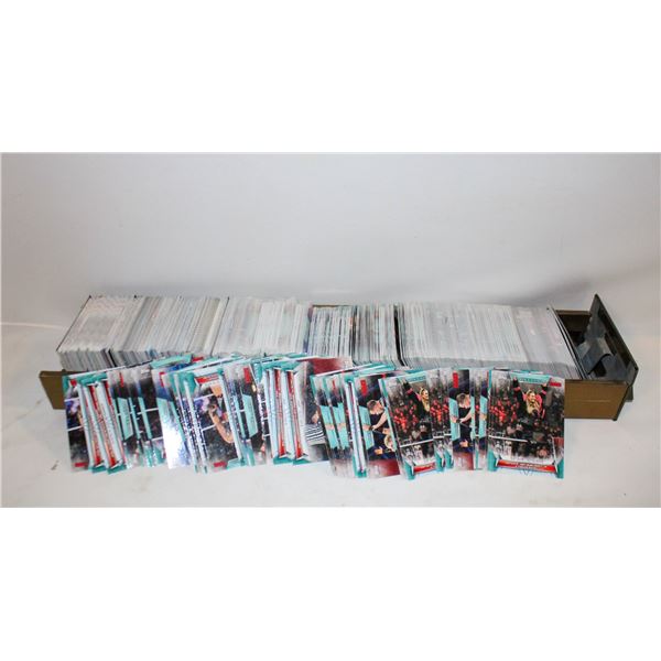 WWE & UFC WOMEN'S CARDS