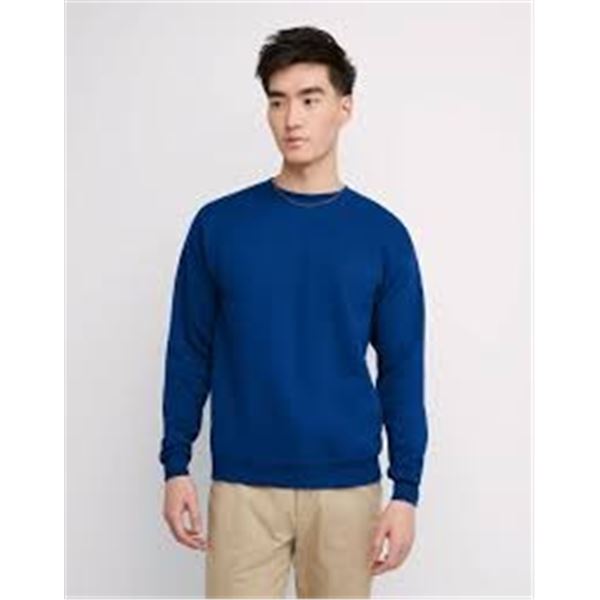 NEW HANES ECOSMART LARGE BLUE SHIRT