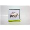 Image 1 : NEW BEAR PIN ETCHED AND NATURE DESIGN