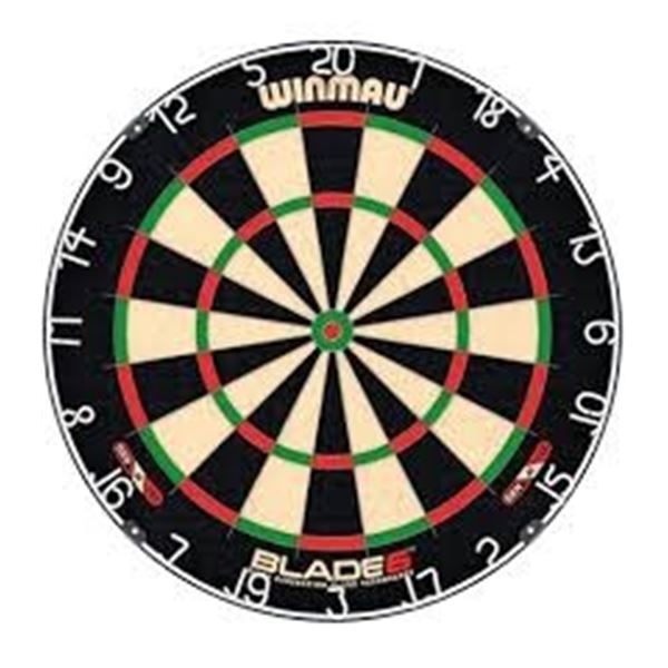 BRAND NEW EAST POINT DARTMOUTH BRISTLE DARTBOARD