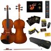 Image 1 : NEW GLORY VIOLIN WITH CASE FULL SIZE