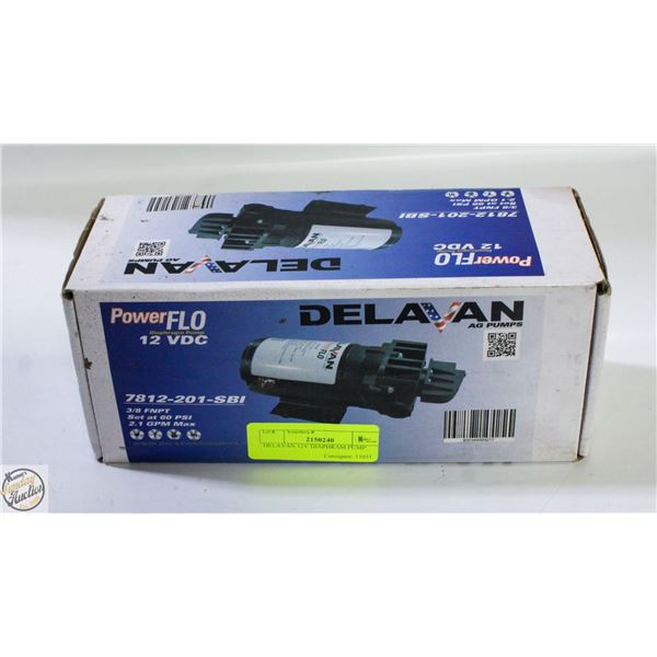 DELAVAN 12V DIAPHRAM PUMP