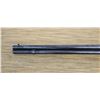 Image 6 : Winchester model 1876 (cl2)