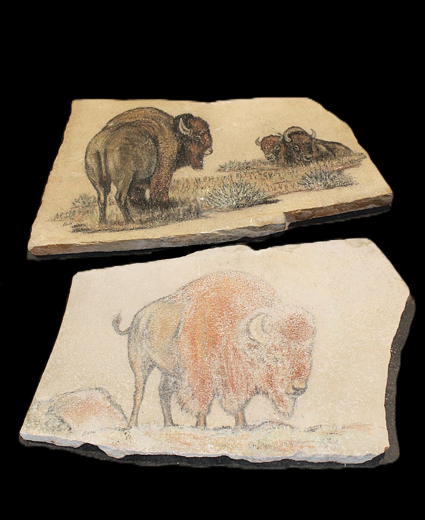 2 Buffalo Sketches On 1