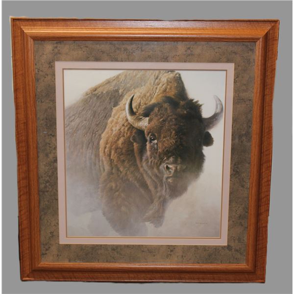 Marked Robert Bateman 1997 Buffalo Print- 37.5" X 36"
