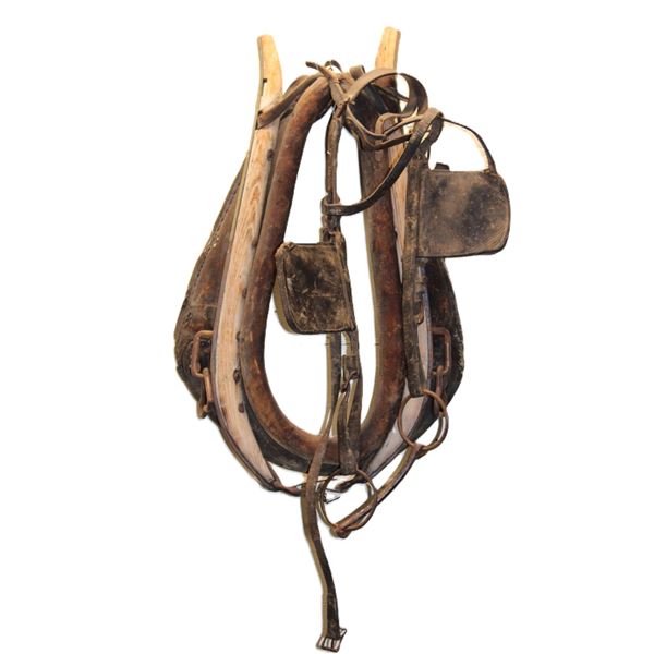 Horse Collar And Wood Hames With Headstall And Driving Bit