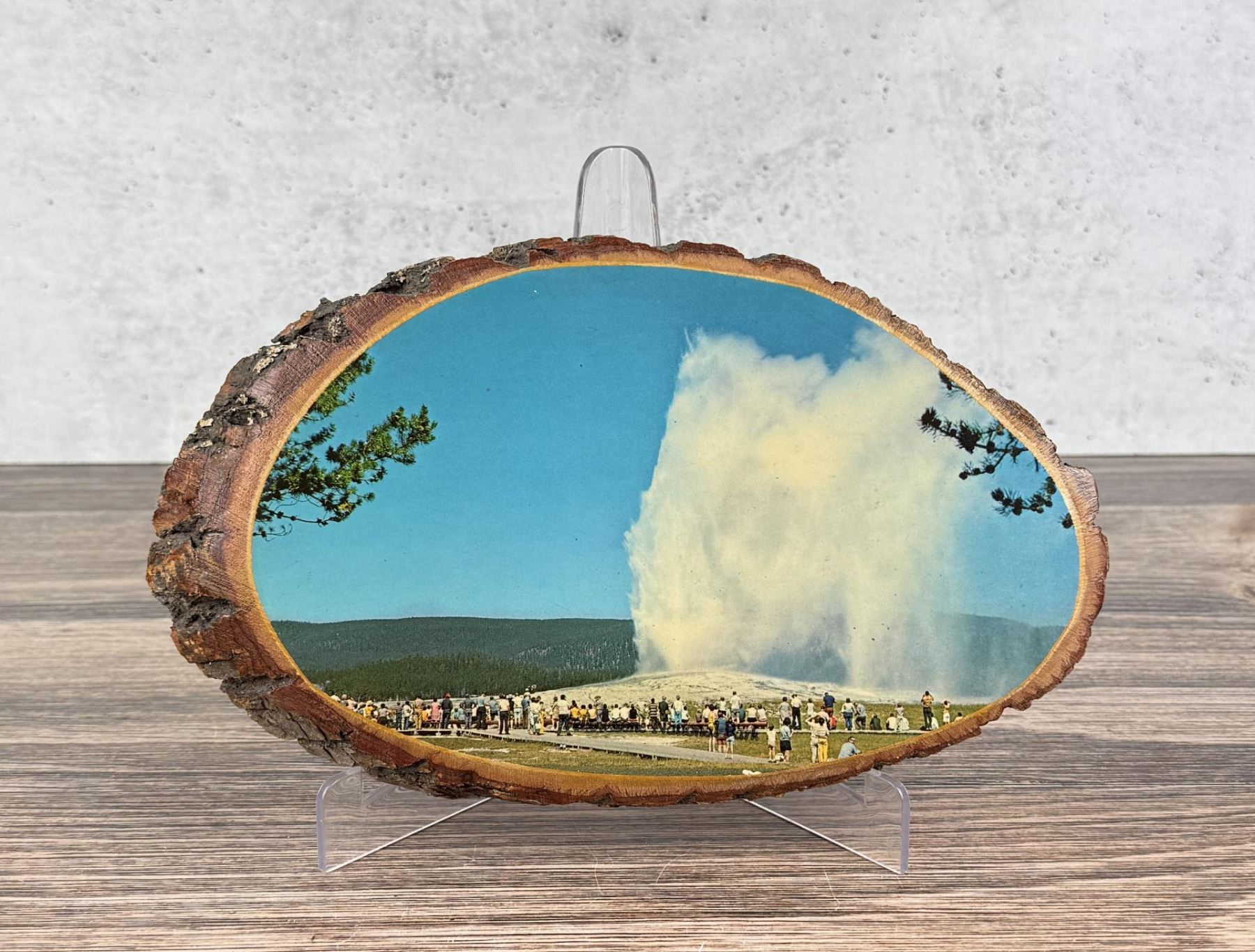 Yellowstone National Park Souvenir Wood Slice