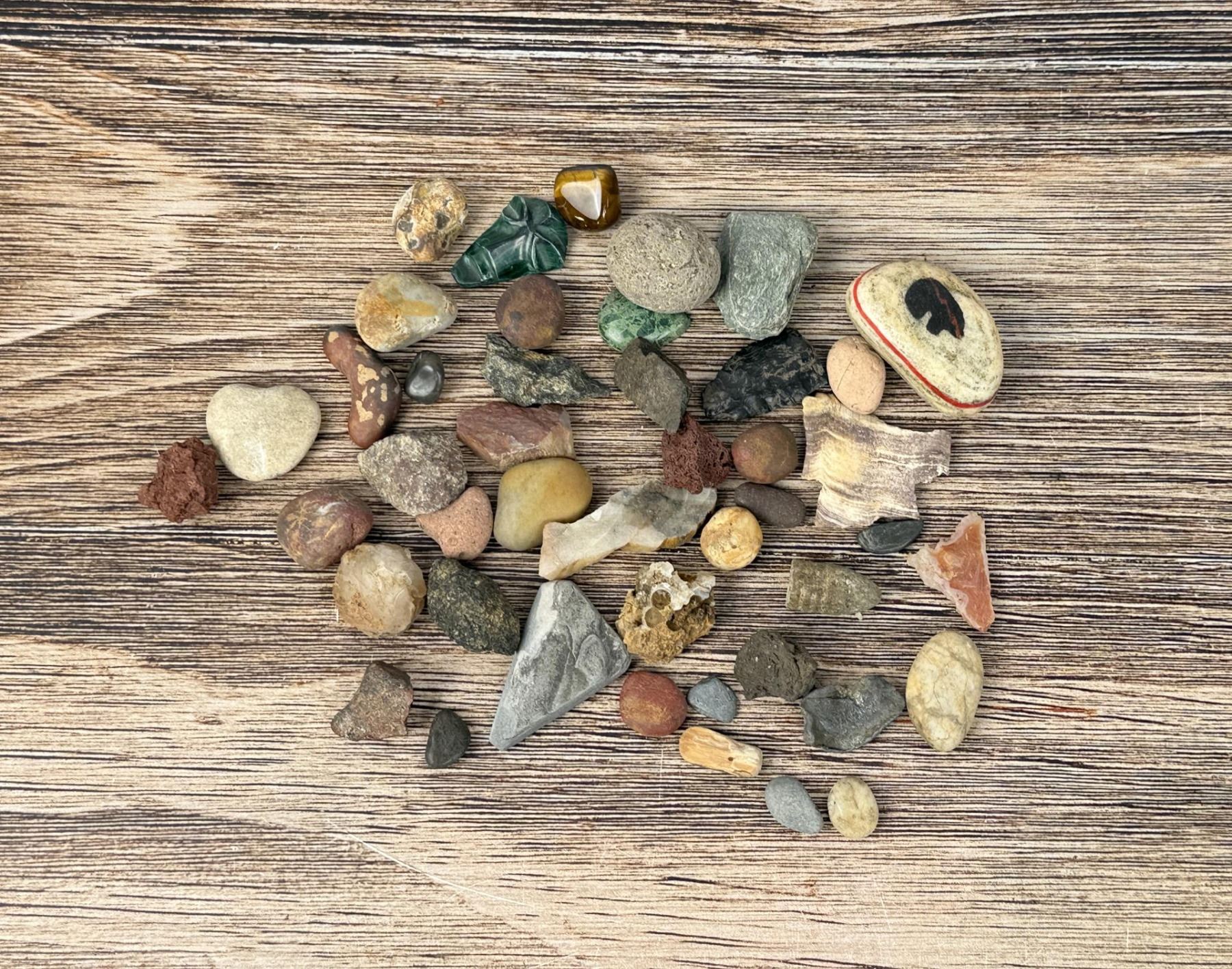 Collection of Rocks and Mineral Specimens