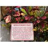 Image 1 : Notice of Security Policy Sign for Paradise Cove Luau 24" x 16.5"