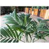 Image 3 : Potted Palm Plant 54"H