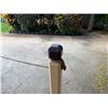 Image 3 : Qty 2 Wooden Delineator Posts 19" Dia, 46"H & Rope Barrier