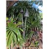 Image 1 : Qty 2 Metal Tiki Torches 77"H