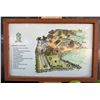 Image 1 : Paradise Cove Map in Wooden Frame 36" x 24"