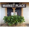 Image 1 : Wooden "Market Place" Sign, Approx. 10' L
