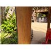 Image 10 : PalmEx Aloha Tiki Hut w/ Ohia Posts & Thatched Roof  97" x 102" x 121"H