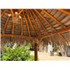Image 7 : PalmEx Aloha Tiki Hut w/ Ohia Posts & Thatched Roof  97" x 102" x 121"H