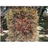 Image 4 : Wooden Plank A-Frame Target Stand w/ Fiber Material Target 26" x 52" x 72"H