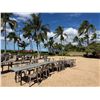 Image 3 : Qty 3 Tables 95" x 24" x 29"H & 18 Plastic Stacking Chairs 16" Dia, 36"H