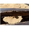 Image 9 : Carved Wooden Tribal Drum Marked Paradise Cove 47" x 18"H