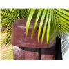 Image 2 : Tiki Statue 12" x 38"H