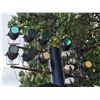 Image 2 : Professional Stage LED PAR Cans Lighting Fixtures (pick up Jan. 16 & 17 by appointment)