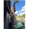 Image 16 : Tiki Statue w/ "HalfMan" Carved Approx. 16'H